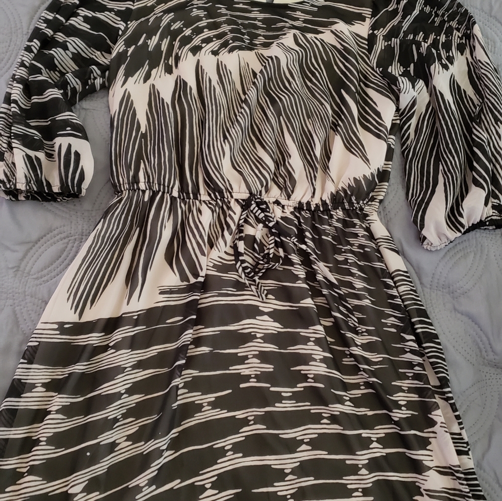 Chiffon Black and Tan Dress